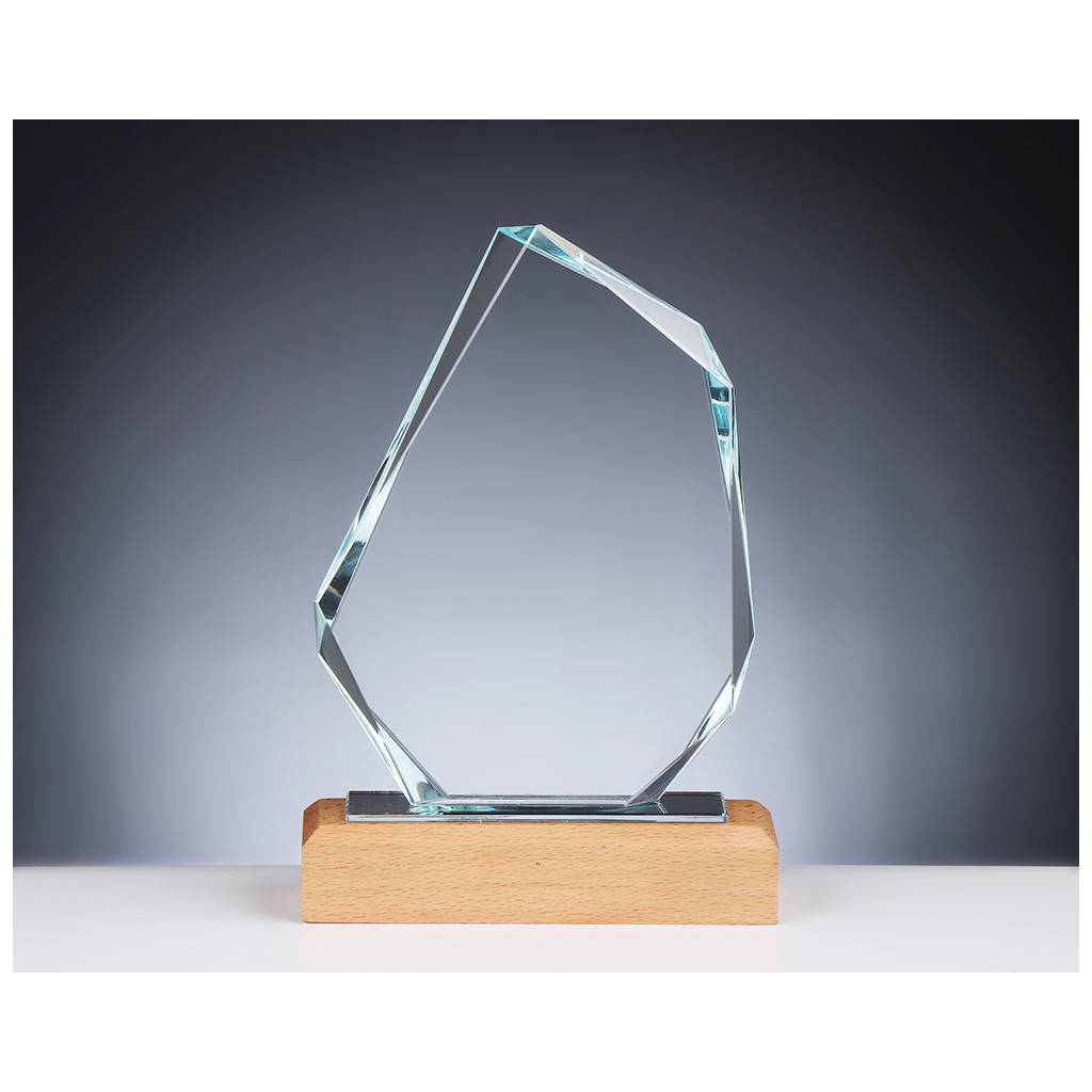 Glas-Holz Award 220mm 150*220 12mm glas