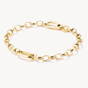 Thomas Sabo Charm Armband mit einem Link Connect in vergoldet