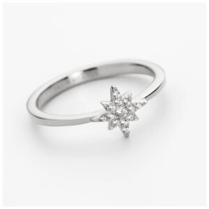 Paul Hewing Windrose Ringe Mono in silber