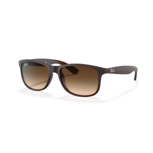 Ray Ban Sonnenbrille Andy in matt braun